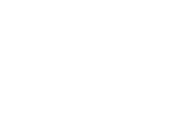 RentCarUSA.com